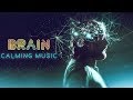 BRAIN CALMING MUSIC || Stress Relief & Nerve Regeneration || Brain Wave Therapy Music