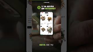 AI Catalog Flow: ¿Sabes hacer una foto? Ya sabes poner tu tienda en internet #Shorts
