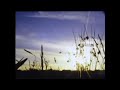 Sufjan Stevens - Now That I'm Older (Slowed + Reverb)