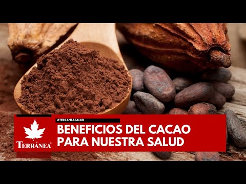 10 Beneficios del CACAO 100% puro para la SALUD | Terránea
