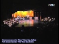 Vila - Bela Vilo, na tebe mi krivo 