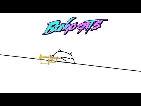 cats and trumpet bongo cat