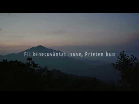 Un Prieten bun pe calea vieții - Tudor și Dina Oleniuc