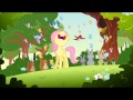 My Little Pony: Friendship is Magic - So Many ...