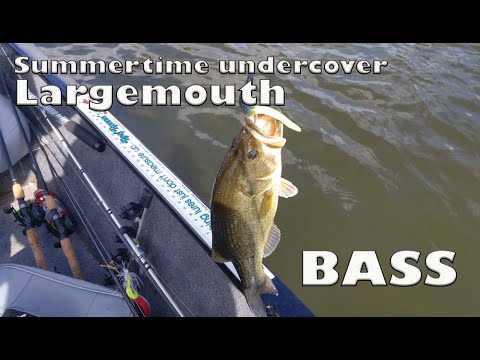 Csf 31 12 Locating strategies for summertime Largemouth Bass.
