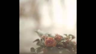 Insomnia Plague- Sea Oleena