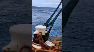 Turks and Caicos Island #cruisedestination come for the fun stay for the culture