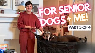 Top Products for Senior Dogs 2025 (Part 3 of 4) | Dog Stroller, Joint Support, Mobility Essentials