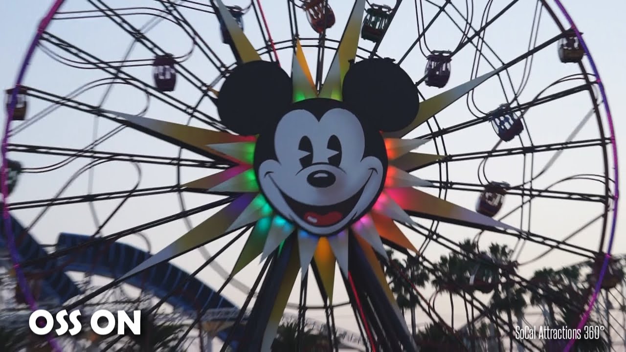 Архив_Объектив Sony FE 24-240mm f/3.5-6.3 OSS