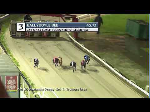 2020 KENT ST LEGER - HEAT 6 - T3 BALLYDOYLE BEE