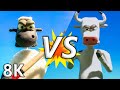 Animal Instincts 8K Cow Vs Sheep