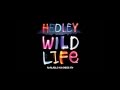 Hedley - Wild Life (Piano Instrumental) 