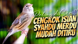 Download lagu PALING DICARI - MASTERAN KENARI ISIAN BLACKTHROAT GACOR DURASI PANJANG IDAMAN mp3 Download lagu PALING DICARI - MASTERAN KENARI ISIAN BLACKTHROAT GACOR DURASI PANJANG IDAMAN mp3