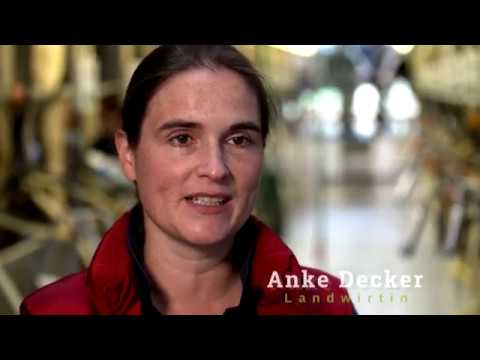 Sicherer Umgang mit Rindern - Sicherheit am Melkstand