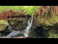 For the Beauty of the Earth | Sunday Songs With The Lemons