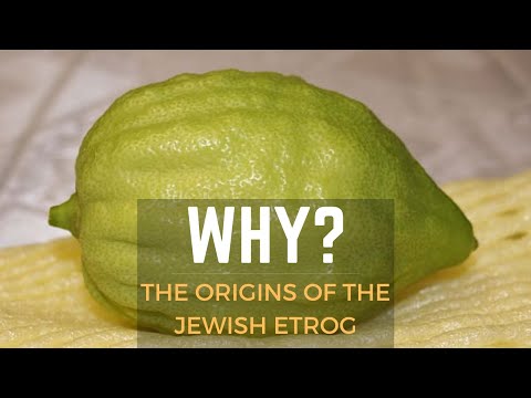 The Origins of the Jewish Etrog