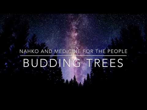 download lagu mp3 mp4 Nahko And Medicine For The People Lyrics, download lagu Nahko And Medicine For The People Lyrics gratis, unduh video klip Nahko And Medicine For The People Lyrics