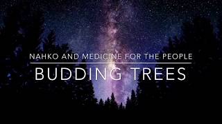 Budding Trees ( Lyrics / Lyric Video ) - By Nahko and Medicine for the People