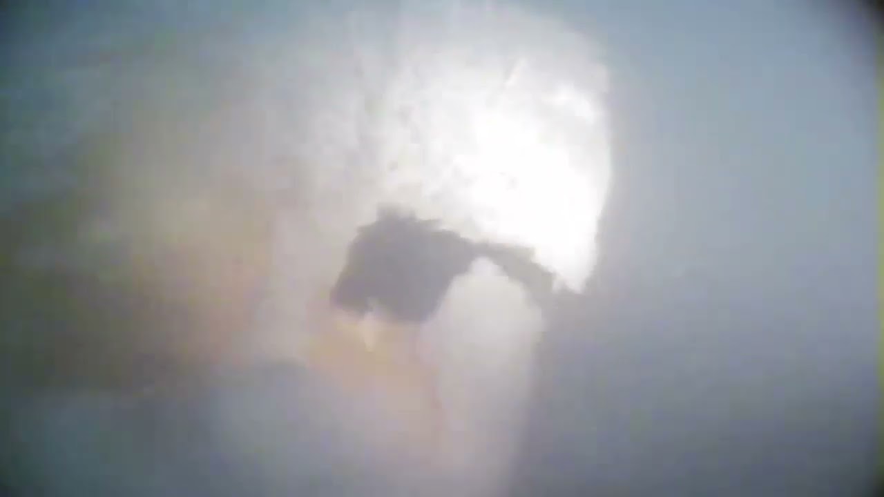 youtube video id=mY-ZIifHa_Q