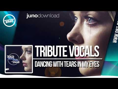 DNZ309 // TRIBUTE VOCALS - DANCING WITH TEARS IN MY EYES (Official Video DNZ RECORDS)