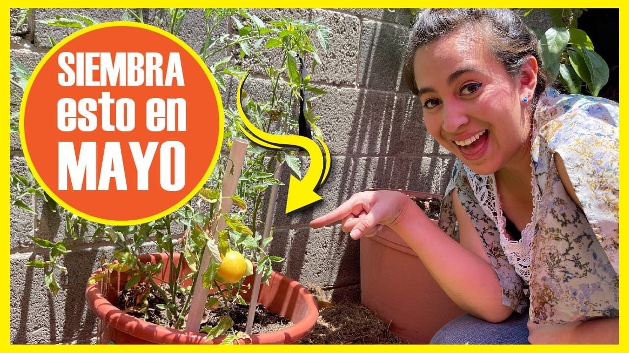 Descubre qué sembrar en mayo en México 🇲🇽 (Frutas, Verduras y Hortalizas)