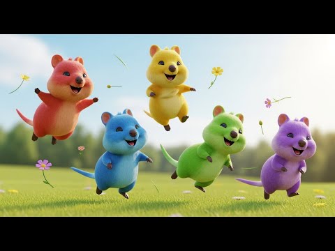 Cinco Pequenos Quokkas Pulam Hop Hop Hop | Rimas Infantis e Animais Felizes