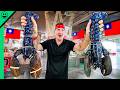 RARE Blue Lobster Taiwan S Exotic Seafood Market