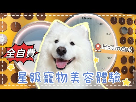 放狗好去處🐙｜星級「寵物美容」體驗｜元朗Hooment｜西摩Tako｜@big_dog_channel