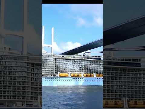 #ππ³οΈπβ€οΈππγͺγβγ·γ¨γ³γ»γͺγγ»γΆγ»γ·βγΊ Ovation of the Seas γ΄γ£βγγΉγ¦γ€γ³γ°οΌε₯³η₯ε€§ζ©οΌγγγ ι·ε΄ε
₯ζΈ― β π Thumbnail for #ππ³οΈπβ€οΈππγͺγβγ·γ¨γ³γ»γͺγγ»γΆγ»γ·βγΊ Ovation of the Seas γ΄γ£βγγΉγ¦γ€γ³γ°οΌε₯³η₯ε€§ζ©οΌγγγ ι·ε΄ε
₯ζΈ― β π
