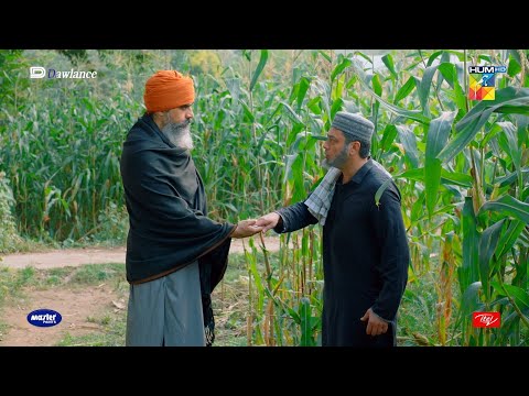 Hilmand Ko Maarne Ke Peeche Saboot... Sang-e-Mah - HUM TV