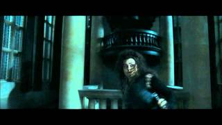 Harry Potter and the Deathly Hallows part 1 - Bellatrix's reign of terror at Malfoy Manor (part 1) video
