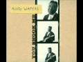 Muddy Waters - You Shook Me