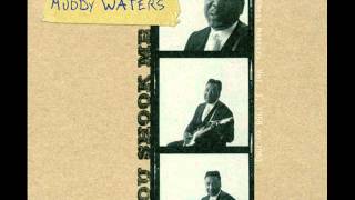 Muddy Waters - You Shook Me