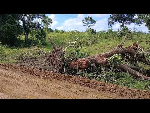 ESTRADA MUTUIPE SERRA GRANDE TRABALHO NÃO PARA  25 07 2026