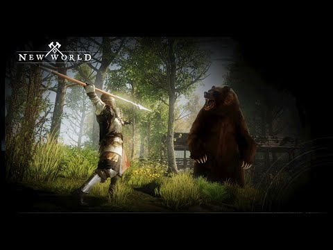 Matze Zockt - New World. Weiter mit LVL 12 bis LVL 13 ein paar Quests gemacht