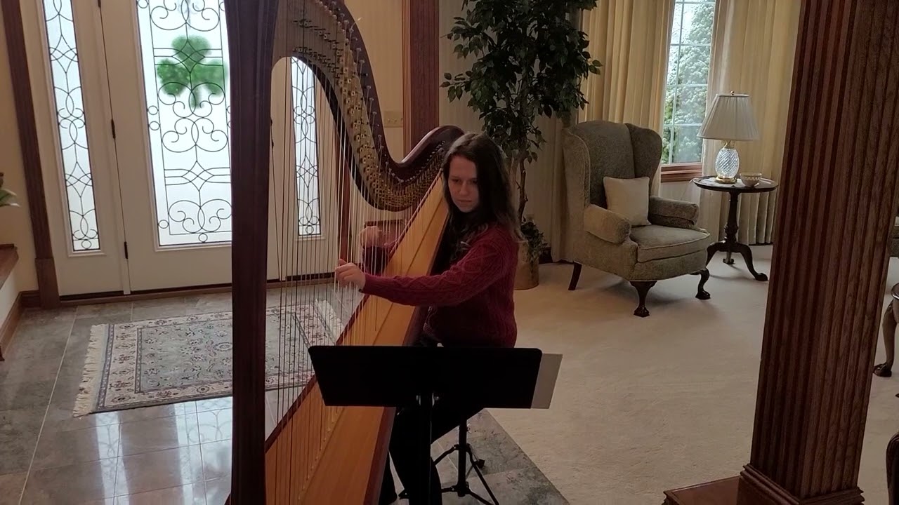Promotional video thumbnail 4 for The Legal Harpist