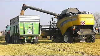 preview picture of video 'New Holland CX8070 mietitura riso / rice harvest 29/10/2014'