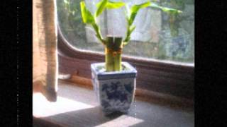 Windowsill - The Lake Poets acoustic cover