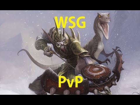 90 BM Hunter PVP - WSG Fun - Patch 5.4 - The Difference Gear Makes
