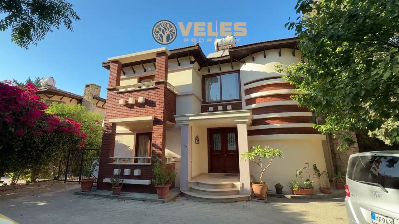 video image