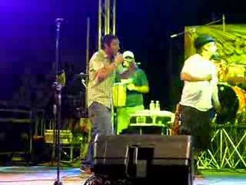 working vibes in concerto