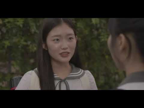 비디오 5