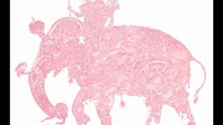 Vox Populi! - Narme Air