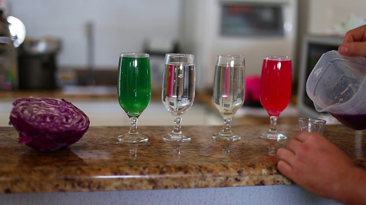 TESTE PH DA ÁGUA COM SUCO DE REPOLHO