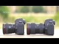 Canon 1483C027 - видео