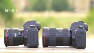 Canon EOS 5D Mark IV body (1483C027) - відео 2