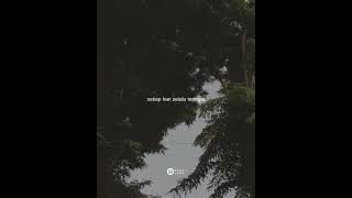 Download lagu Story' wa selalu sabar''''viral mp3