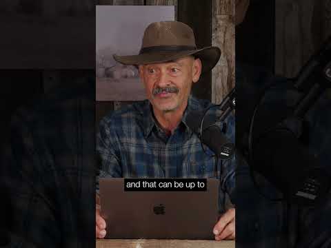 22 Caliber Air Gun on Forest Grouse?