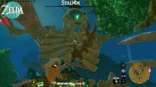 Legend of Zelda TOTK - Defeat more Monsters locate & Stalnox Hanu Pond - East Necluda
