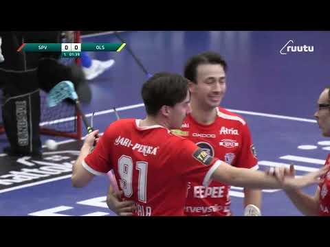 Maalikooste SPV - OLS 29.12.2024.